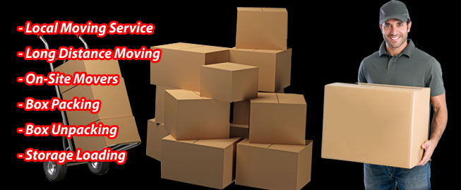 Packers And Movers Noida Sector 17